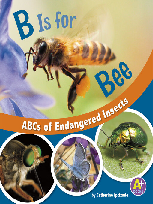 Cover image for B Is for Bees